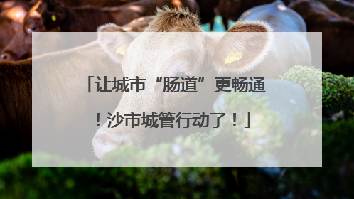 让城市“肠道”更畅通！沙市城管行动了！