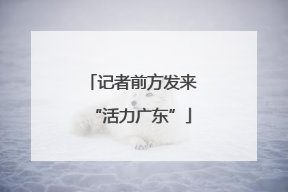 记者前方发来“活力广东”