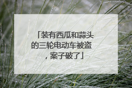 装有西瓜和蒜头的三轮电动车被盗，案子破了