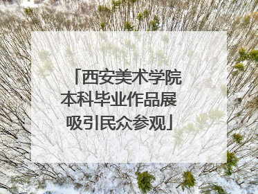 西安美术学院本科毕业作品展吸引民众参观