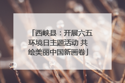 西峡县：开展六五环境日主题活动 共绘美丽中国新画卷