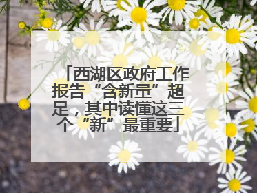 西湖区政府工作报告“含新量”超足，其中读懂这三个“新”最重要