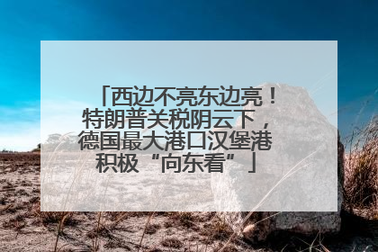 西边不亮东边亮！特朗普关税阴云下，德国最大港口汉堡港积极“向东看”
