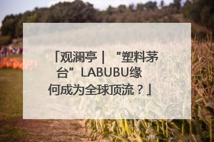 观澜亭｜“塑料茅台”LABUBU缘何成为全球顶流？