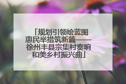 规划引领绘蓝图 惠民举措筑新篇——徐州丰县宗集村奏响和美乡村振兴曲