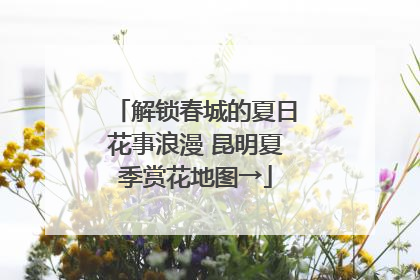 解锁春城的夏日花事浪漫 昆明夏季赏花地图→