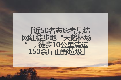 近50名志愿者集结网红徒步地“天鹅林场”，徒步10公里清运150余斤山野垃圾