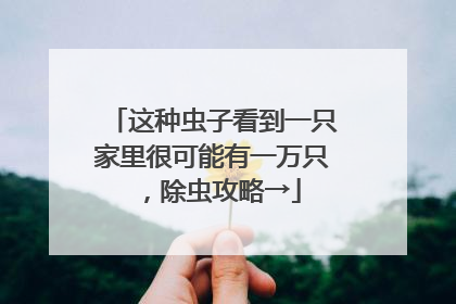 这种虫子看到一只家里很可能有一万只，除虫攻略→