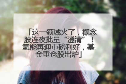 这一领域火了，概念股连夜批量“澄清”！氢能再迎重磅利好，基金重仓股出炉