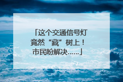 这个交通信号灯竟然“藏”树上！市民盼解决……