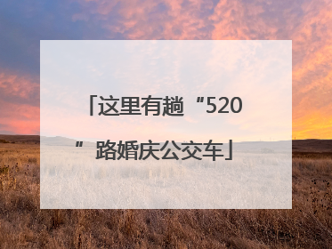 这里有趟“520”路婚庆公交车
