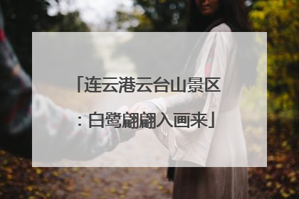 连云港云台山景区：白鹭翩翩入画来