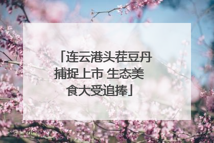 连云港头茬豆丹捕捉上市 生态美食大受追捧