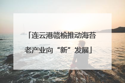 连云港赣榆推动海苔老产业向“新”发展
