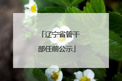 辽宁省管干部任前公示
