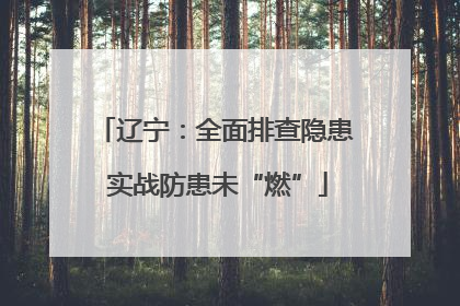辽宁：全面排查隐患 实战防患未“燃”