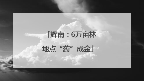辉南：6万亩林地点“药”成金