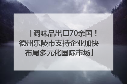 调味品出口70余国！德州乐陵市支持企业加快布局多元化国际市场