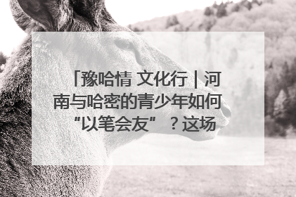 豫哈情 文化行｜河南与哈密的青少年如何 “以笔会友”？这场书画展藏着答案