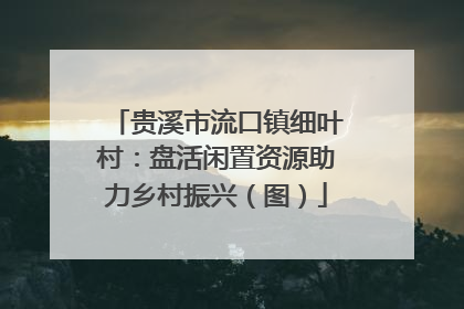 贵溪市流口镇细叶村：盘活闲置资源助力乡村振兴（图）