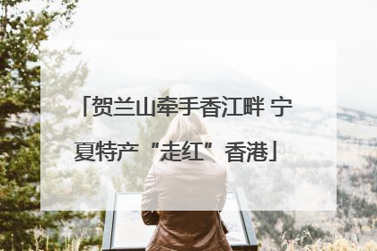 贺兰山牵手香江畔 宁夏特产“走红”香港