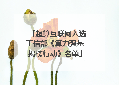 超算互联网入选工信部《算力强基揭榜行动》名单