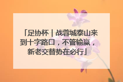 足协杯｜战蓉城泰山来到十字路口，不管输赢，新老交替势在必行