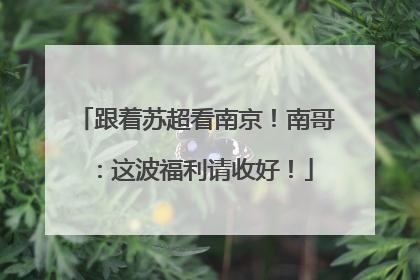 跟着苏超看南京！南哥：这波福利请收好！