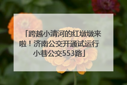 跨越小清河的红墩墩来啦！济南公交开通试运行小巷公交553路