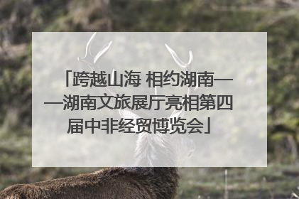 跨越山海 相约湖南——湖南文旅展厅亮相第四届中非经贸博览会