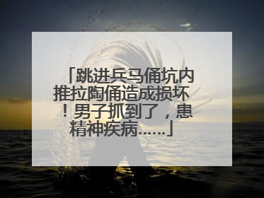 跳进兵马俑坑内推拉陶俑造成损坏！男子抓到了，患精神疾病……
