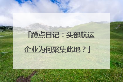蹲点日记：头部航运企业为何聚集此地？