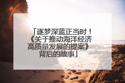 逐梦深蓝正当时！《关于推动海洋经济高质量发展的提案》背后的故事