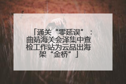 通关“零延误”：曲靖海关会泽集中查检工作站为云品出海架“金桥”