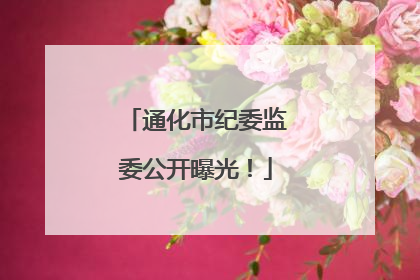 通化市纪委监委公开曝光！