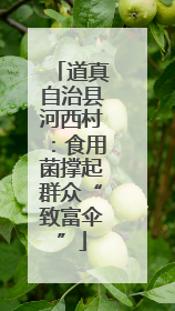道真自治县河西村：食用菌撑起群众“致富伞”