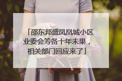 邵东邦盛凤凰城小区业委会筹备十年未果，相关部门回应来了
