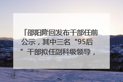 邵阳隆回发布干部任前公示，其中三名“95后”干部拟任副科级领导，均系硕士选调生