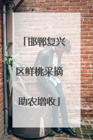 邯郸复兴区鲜桃采摘助农增收
