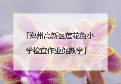 郑州高新区莲花街小学检查作业促教学