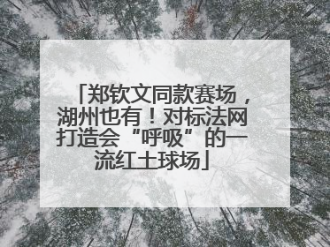 郑钦文同款赛场，湖州也有！对标法网打造会“呼吸”的一流红土球场