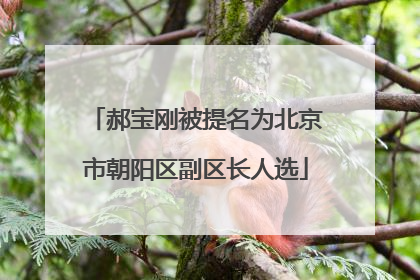 郝宝刚被提名为北京市朝阳区副区长人选