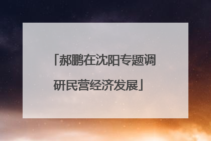 郝鹏在沈阳专题调研民营经济发展