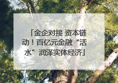 金企对接 资本链动！百亿元金融“活水”润泽实体经济