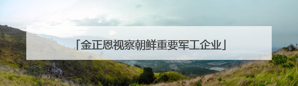 金正恩视察朝鲜重要军工企业