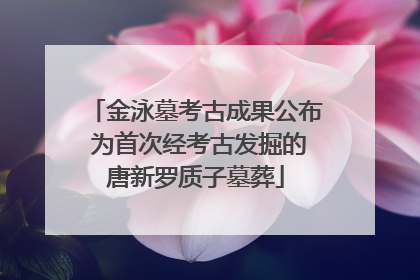 金泳墓考古成果公布 为首次经考古发掘的唐新罗质子墓葬