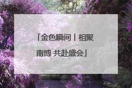 金色瞬间丨相聚南博 共赴盛会