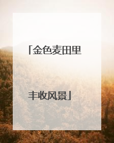 金色麦田里丰收风景
