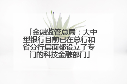 金融监管总局：大中型银行目前已在总行和省分行层面都设立了专门的科技金融部门