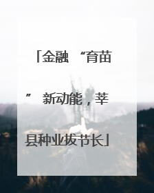 金融 “育苗” 新动能，莘县种业拔节长
